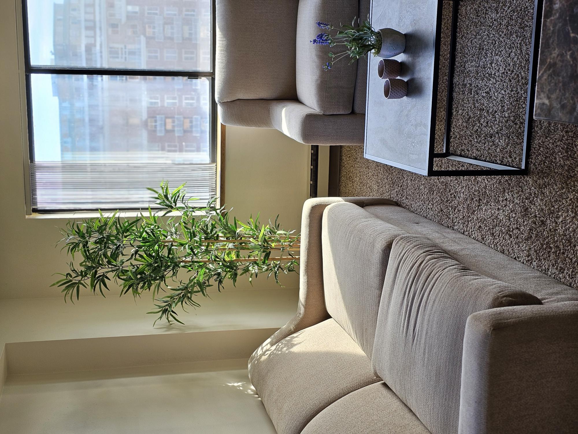 A living room with a grey couch and a plant on the window sill.