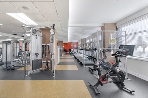 Fitness center with cardio equipment and strength training machines at Amenity Images Apartments, Illinois, 60527