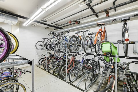 Bike Rack at Acclaim on North Avenue, Chicago, 60610