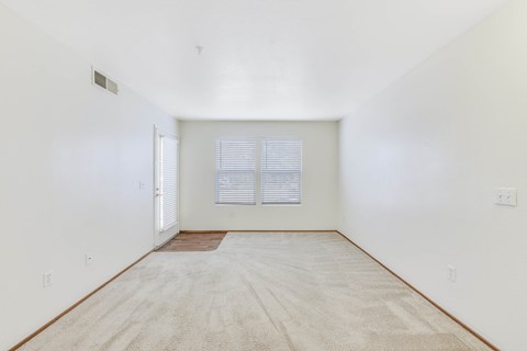 A room with a carpet and a window with blinds.