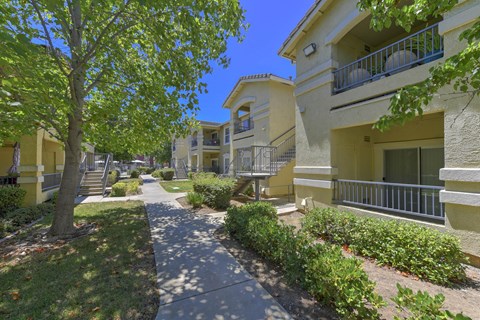 A tree in front of a building with a clear blue sky at Hurley Creek Apartment Homes, California, 95834