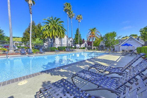 Poolside Lounge Space at Bay Vista at Meadow Park Apartments, California, 94949