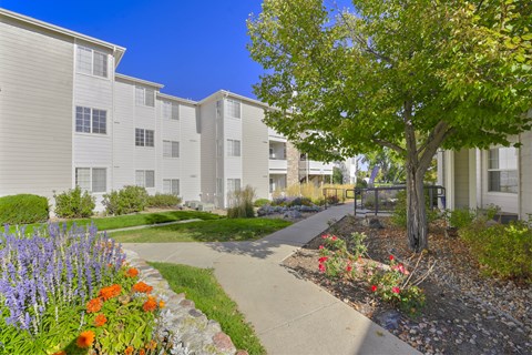 Courtyard Walking Path at Ascent, Colorado