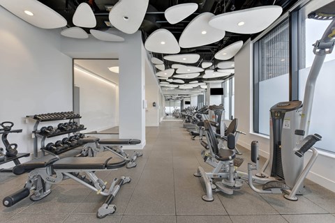 Community Gym at 535 Carlton Ave Apartments, New York, 11238