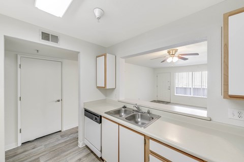 A kitchen with a white sink and a white door.