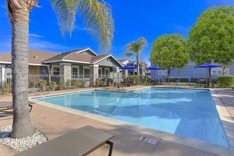 Swimming pool with patio umbrellas and palm trees at Corsair Park Senior Apartments, North Highlands