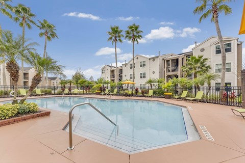 Community pool with palm trees and deck at Acclaim at Conroy Apartments, Orlando, FL 32811