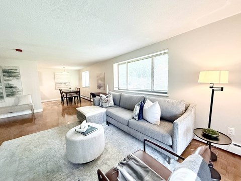 A living room with a grey couch and a white rug.