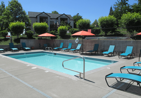 A swimming pool surrounded by chairs and umbrellas.