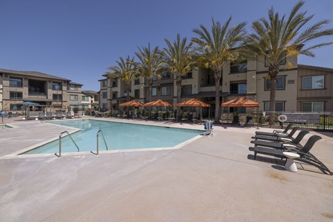 A swimming pool surrounded by lounge chairs and palm trees.