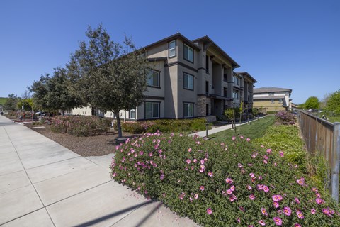 A building with a grey facade is surrounded by a flower bed with pink flowers.