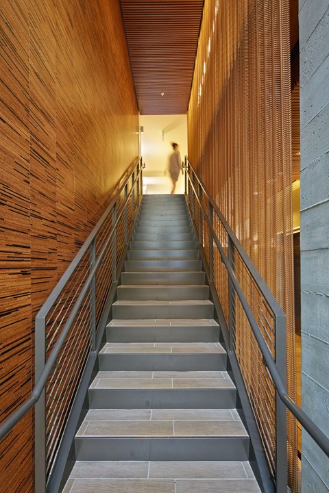 A person is walking up a flight of stairs with a wooden wall on the left and a metal railing on the right.