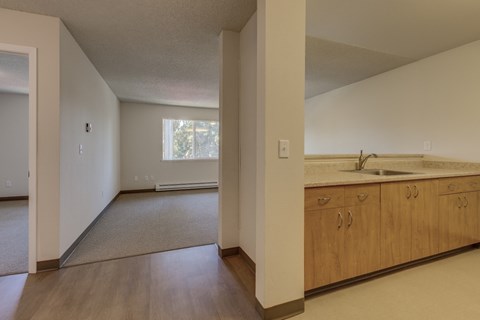 A kitchen with wooden cabinets and a window.