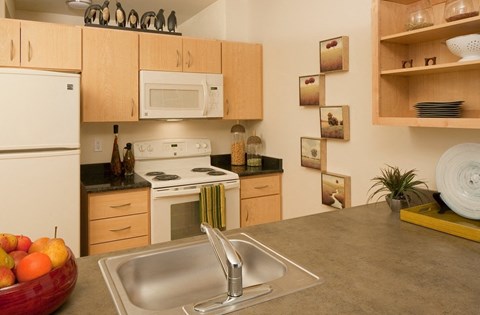 A kitchen with a white refrigerator, a stove, a microwave, and a sink.
