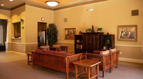 A living room with a couch, chair, and a potted plant.