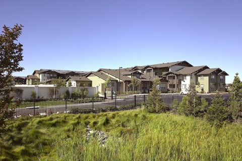 A row of houses with a fence and greenery in the foreground.