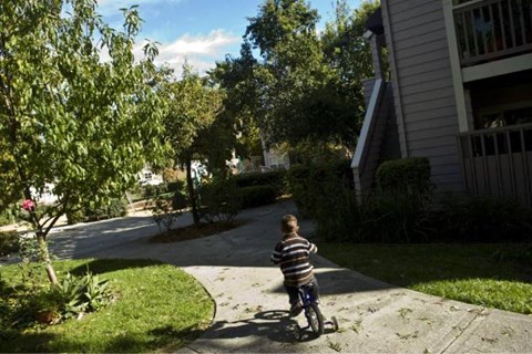 A young boy rides his bike on a sidewalk.