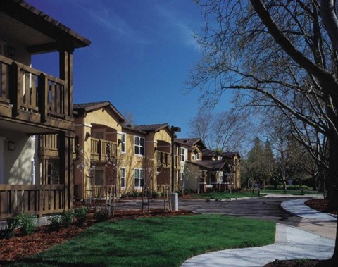 A row of houses with a tree in front of them.
