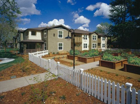 A white picket fence separates a row of houses from a garden.