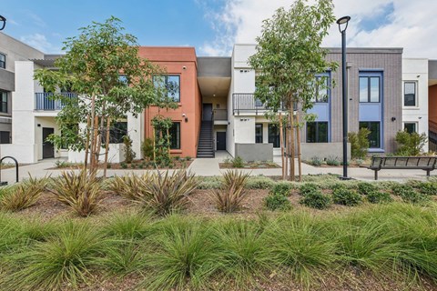 A modern building with a landscaped front yard.