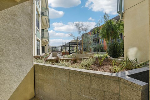 A view of a courtyard with a bench and plants.