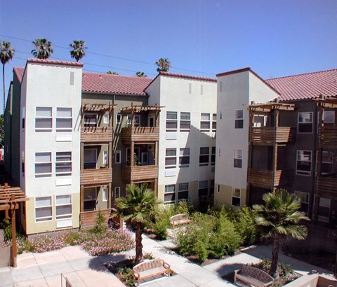 A courtyard with a bench and a tree in front of apartment buildings.