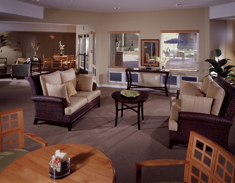 A living room with a brown sofa, a brown table, and a brown chair.