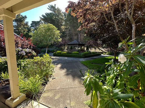 A gazebo is surrounded by trees and plants in a garden.