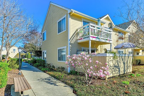 A yellow house with a balcony and a tree with pink flowers in front.