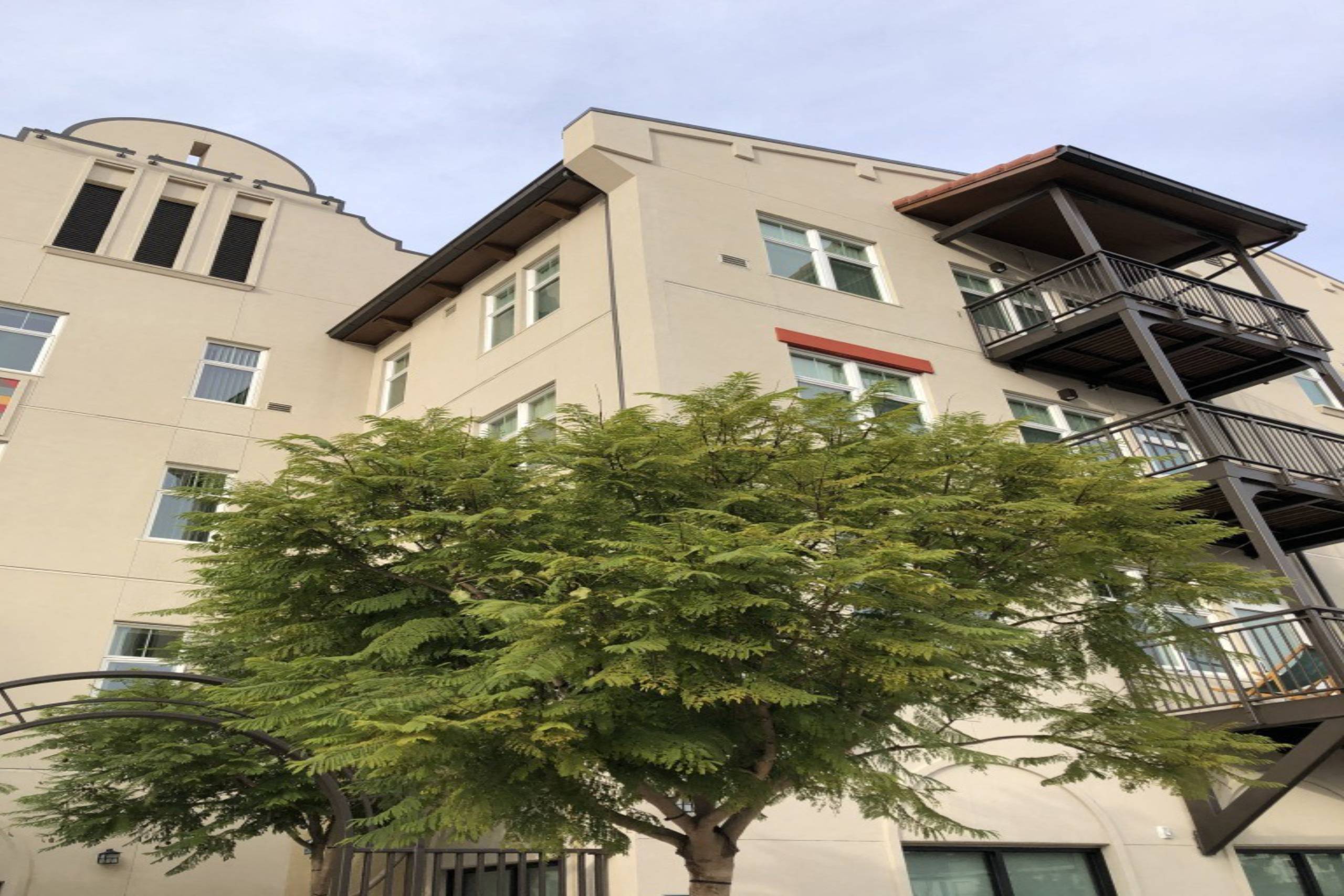 A tree in front of a building with a balcony.