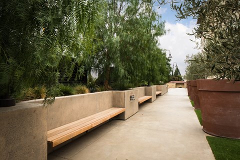 A long concrete walkway with benches on either side is lined with green trees.