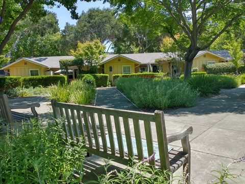 A wooden bench is in the foreground of a park with a yellow building in the background.