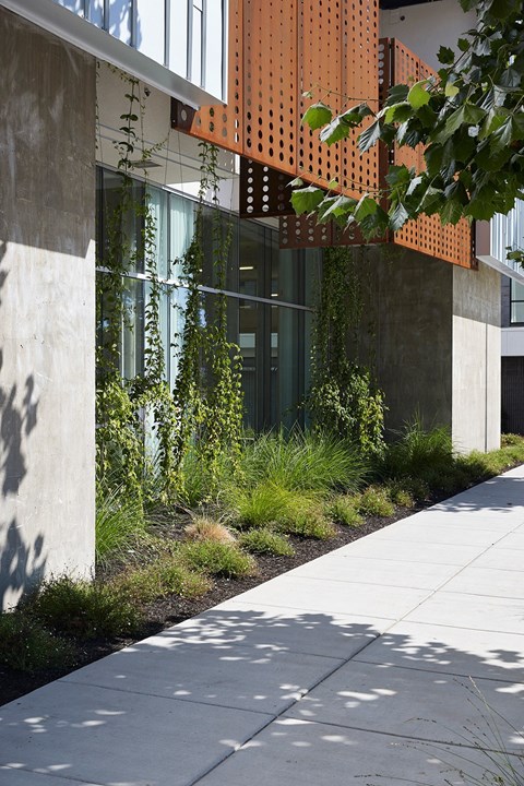 A modern building with a concrete walkway and a metal trellis.