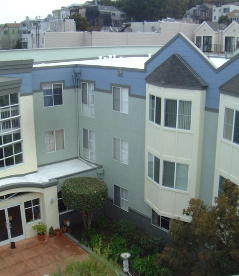 A view of a courtyard with a tree and a fountain.