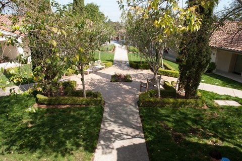 A tree-lined pathway in a well-manicured garden.