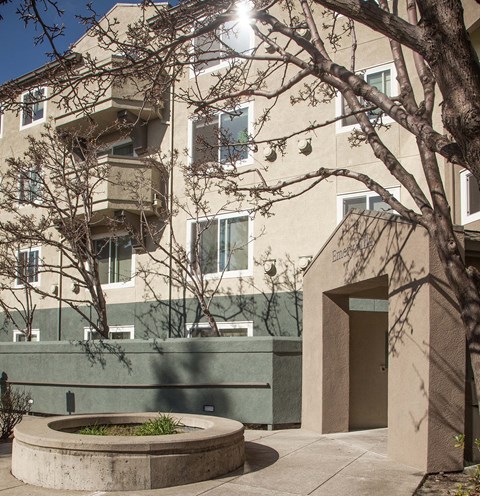 A tree is in front of a building with a brown door.