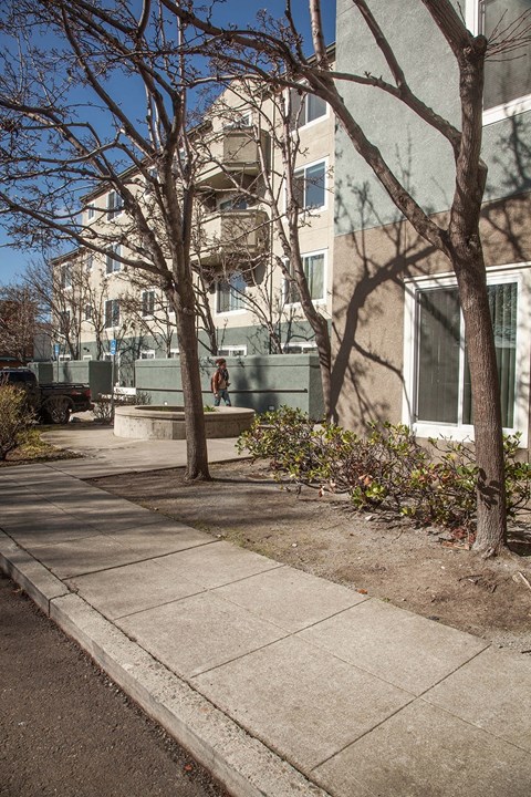 A tree-lined sidewalk in front of a building.