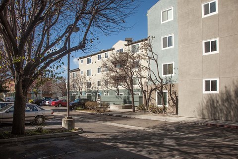 A tree with no leaves stands in front of a building.
