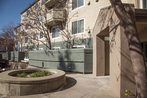 A tree is in front of a building.