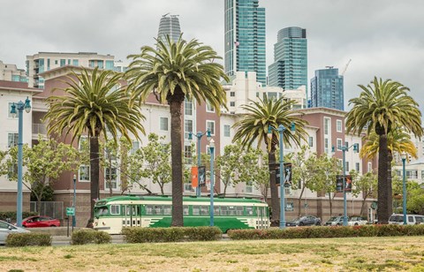 A green bus is parked between two palm trees.