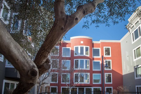 A tree branch in the foreground with a red and white building in the background.