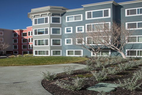 A grey building with a tree in front of it.