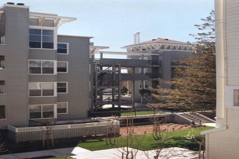 A modern building with a glass entrance and a tree in front.