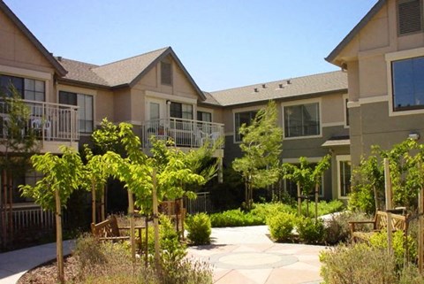A sunny day in a courtyard surrounded by houses.