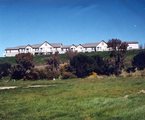 A large white building with a grey roof is surrounded by greenery.