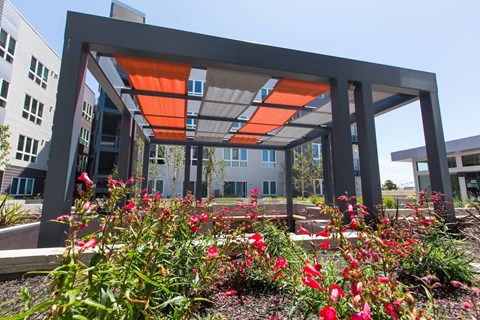 Outdoor pergola with shade panels and landscaping at View Point Apartments, Berkeley