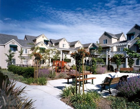 A sunny day at a residential area with houses and a garden.