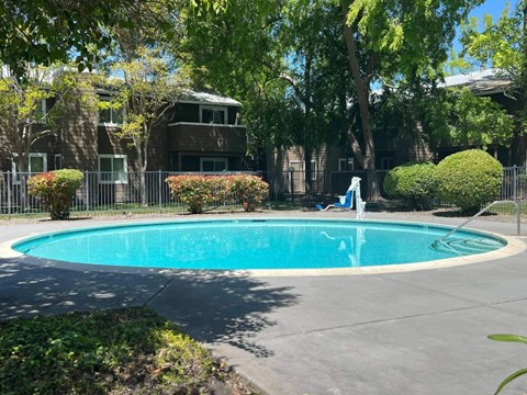 A blue swimming pool surrounded by green trees and bushes.