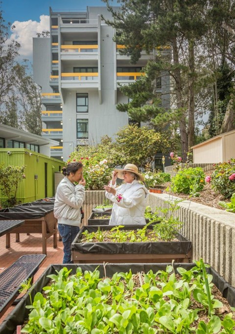 Two people standing in a garden with a building in the background.