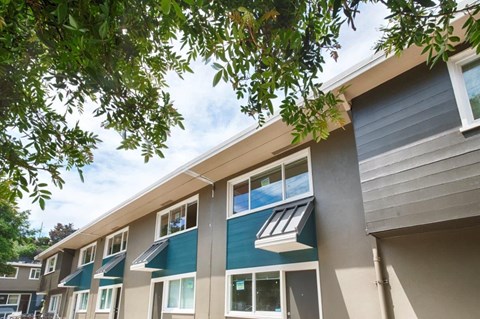 A row of modern apartment buildings with balconies and trees in the foreground.